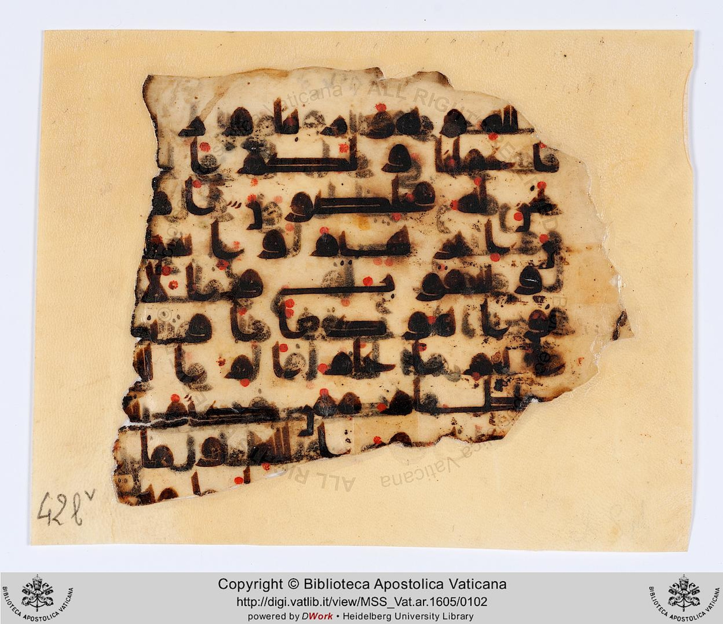 Biblioteca Apostolica Vaticana, Vat. Ar. 1605 (42), in kūfī D script, showing Surah 2:139 from 8th to 9th Century AD found in Fustat (Old Cairo), Egypt, currently housed at Biblioteca Apostolica Vaticana, Rome